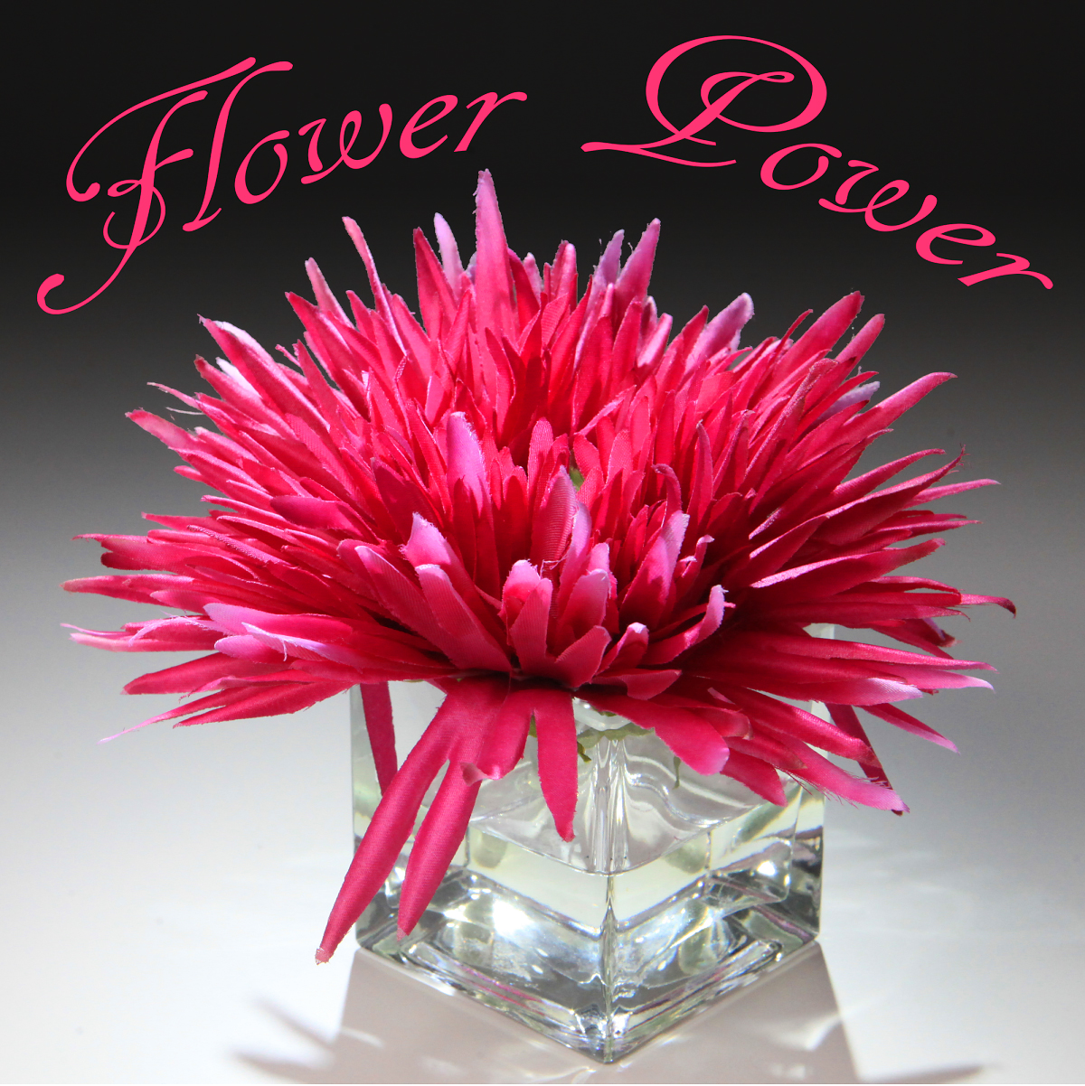 Flower Power at LINDA HORN