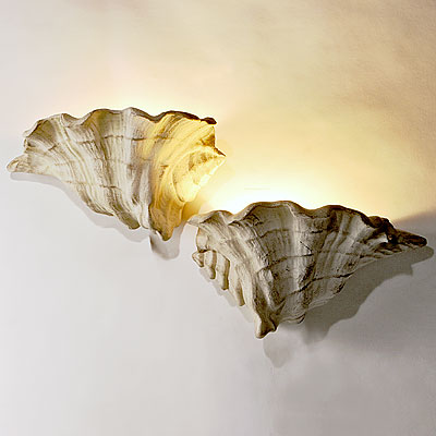 PAIR SHELL SCONCES