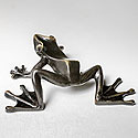 LARGE BRASS FROG