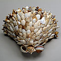 SHELL WALL SCONCES